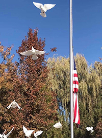 flag and doves